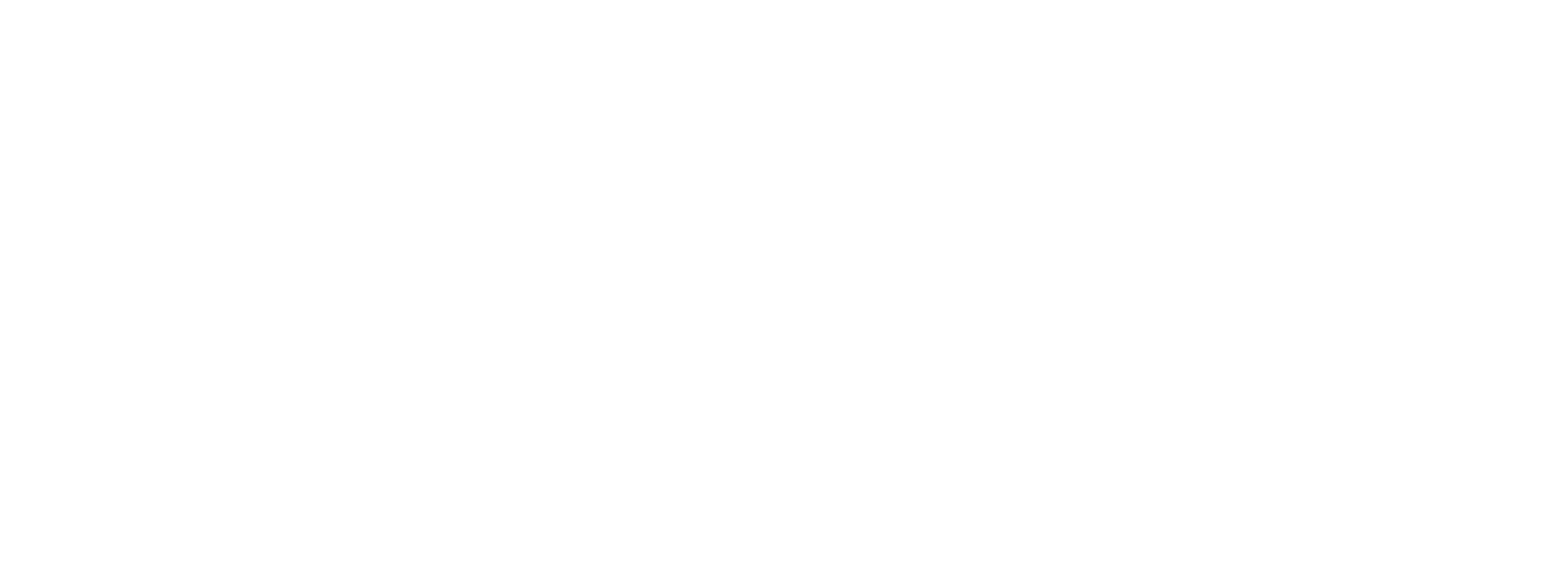 Vitality Cleaning